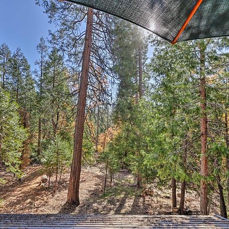 Quiet Twain Harte Cabin With Deck And Forest Views! Екстериор снимка