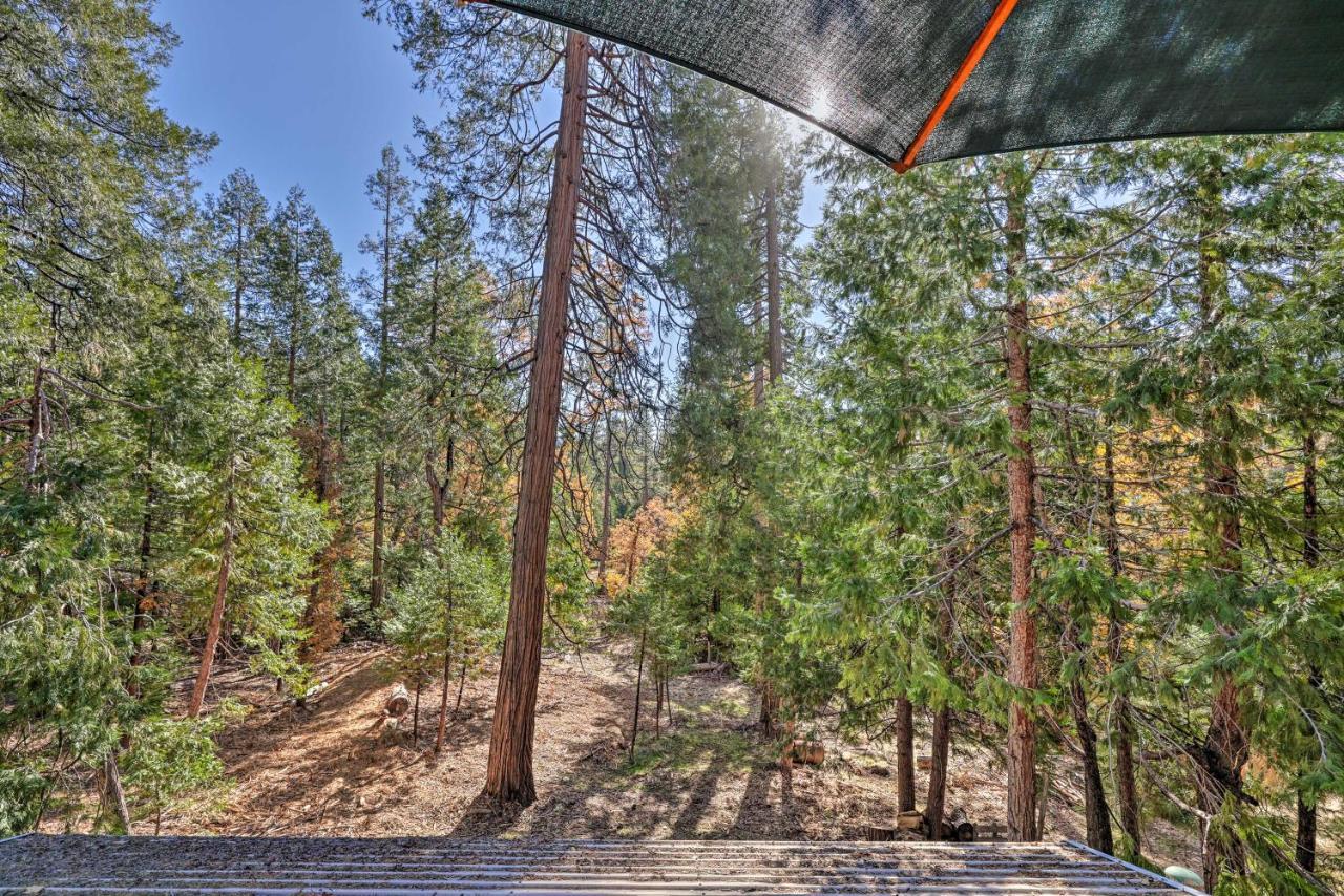 Quiet Twain Harte Cabin With Deck And Forest Views! Екстериор снимка
