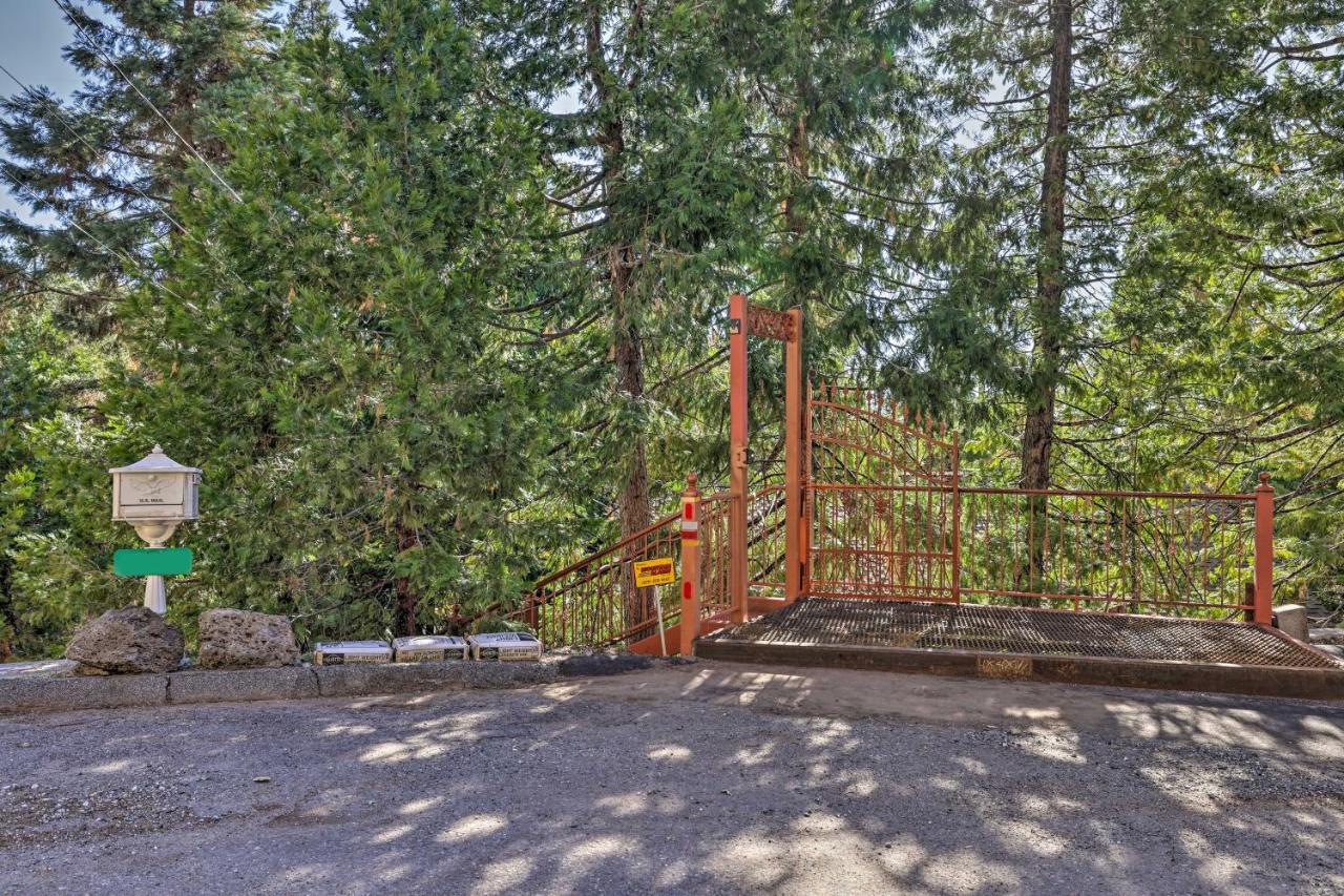 Quiet Twain Harte Cabin With Deck And Forest Views! Екстериор снимка